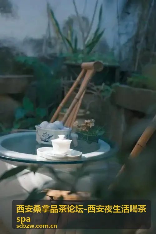 西安品茶spa社交休闲推荐