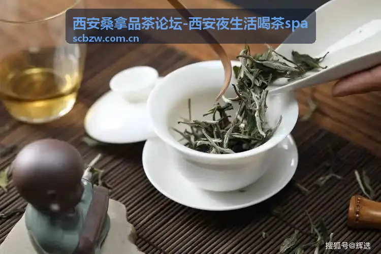 西安夜生活喝茶spa推荐的SPA放松指南
