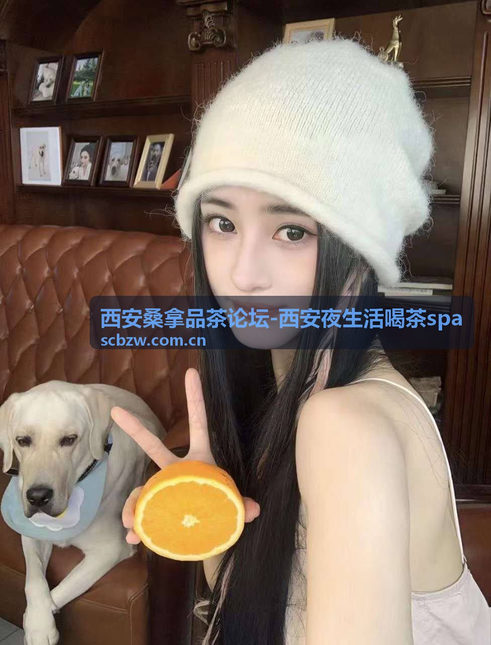 西安桑拿品茶论坛推荐的古城夜生活休闲去处